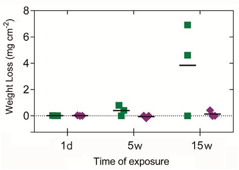Effect of Tidal Cycles on Bacterial Biofilm Formation and Biocorrosion ...