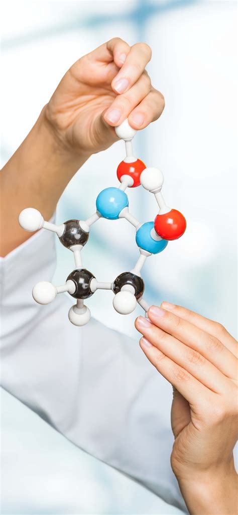 Image result for Understanding Rabbit Behavior