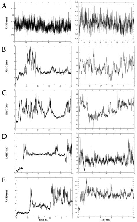 Image result for Stability Complex Polynomial
