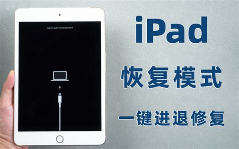 Apple iPad Pro 12.9 (2021): Test, Infos, Specs, kaufen - COMPUTER BILD