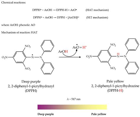 The Versatility of Antioxidant Assays in Food Science and Safety ...