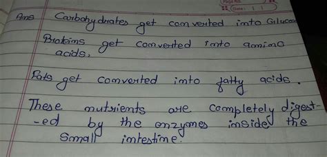 What is the final products after digestion of carbohydrates and ...