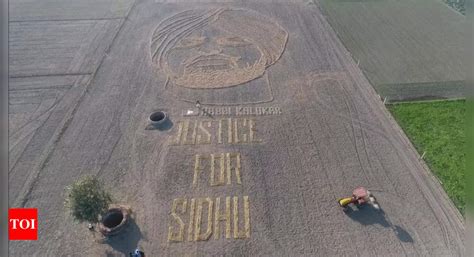 Punjab: Artist Rabbi Singh uses crop residue to create Sidhu Moose Wala ...