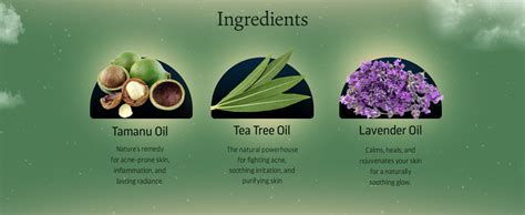 Buy Indulgeo Essentials Volcanic Night Oil (30 mL) - Helps Acne Pimple ...