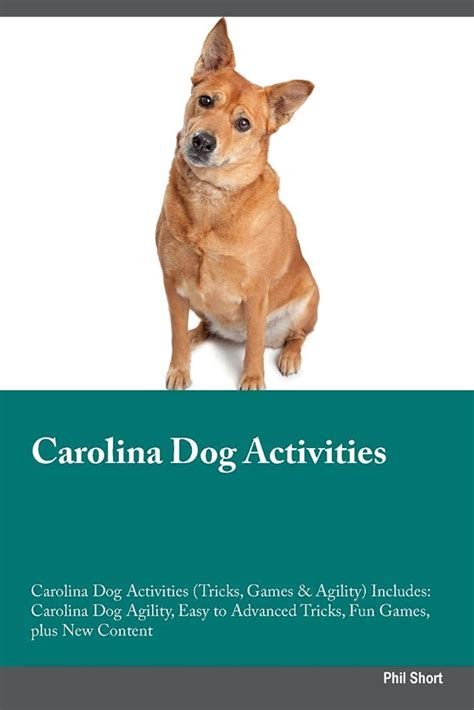 Buy Carolina Dog Activities Carolina Dog Activities (Tricks, Games ...
