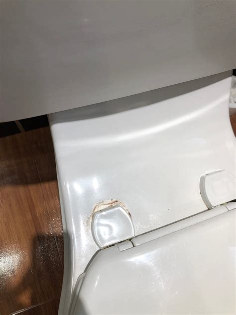 PIPERDAM LEISURE RESORT (Dundee, Scotland) - Lodge Reviews & Photos ...