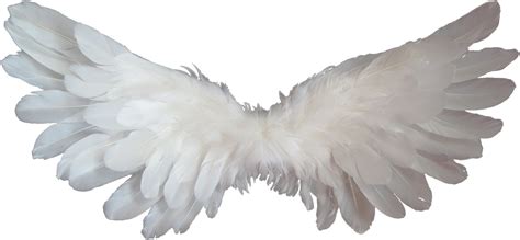 Beautiful Angel Wings Png