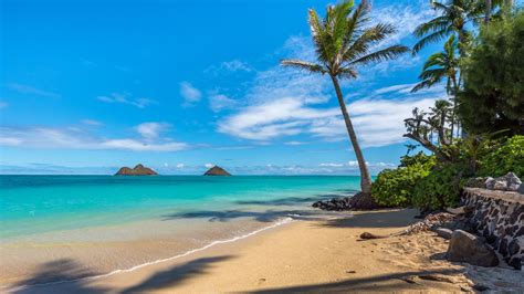 Discover the Best Beaches in Oahu for Your Dream Vacation