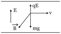 A particle of mass 2× 10- 5 kg moves horizontally between the plates of ...