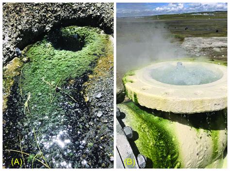 Image result for Hot Spring Structure