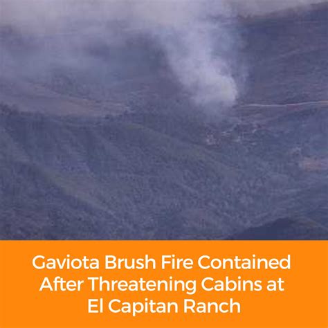 Edhat Santa Barbara | A young black bear was spotted wandering through ...