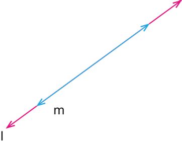 Multiple choice questions IV — task. Mathematics State Board, Class 9.