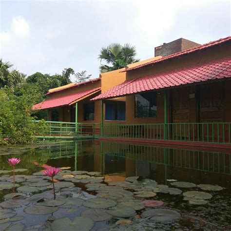 Visit Belun Eco Resort For A Retreat In Nature's Biodiversity | LBB