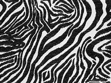 Zebra Print Designs by Fabric Texture Zebra Print Cloth Design Black White Zebra Print Designs