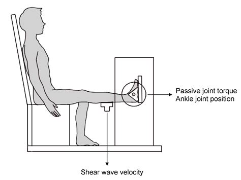 Acute Effects of Dermal Suction on Passive Muscle and Joint Stiffness