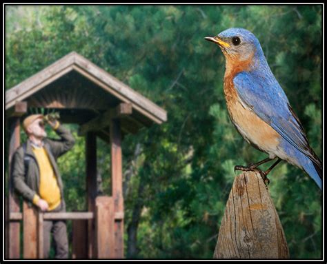 Trip to Jim Corbett Park and its Surrounding in the Lap of Nature