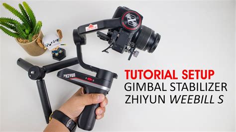 Gimbal Tutorial 的图像结果