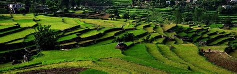 Sightseeing In Kausani With Tourist Places In Kausani & Kausani tour