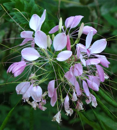 Book Recommendation: The Boys from Biloxi by John Grish