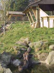 ZooLex Exhibit - Oriental Small-Clawed Otter Exhibit