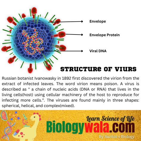 Image result for Virus Anatomy Explained