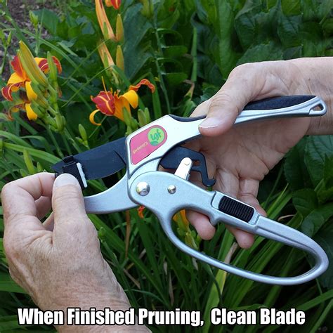 8 Best Pruners Reviews - That Will Trim Your Garden To Precision - Tool Box
