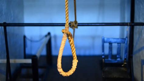 Girl ends life after her buffalo goes missing