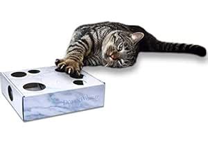 DoyenCat Puzzle Box for Cats Interactive Play (Marble) : Amazon.in ...