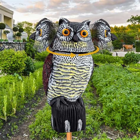 Amazon.in: Scarecrow