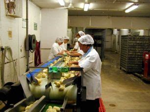 Handling and Treatment of Poultry Hatchery Waste: A Review