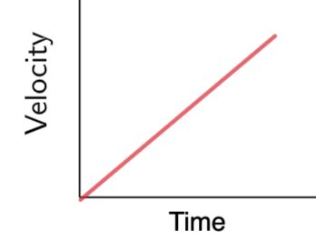 Velocity Time Graph Animation 的图像结果