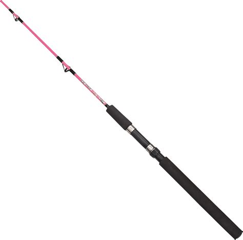 Fishing rod PNG image