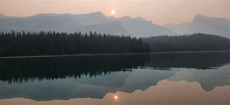 Kingston Professional Corporation – Experienced Chartered Professional ...