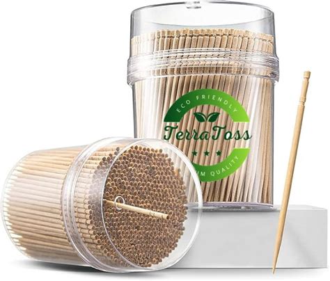 TerraToss Wooden Toothpicks | 2 Packs of 250 Toothpick Sticks (500 ...