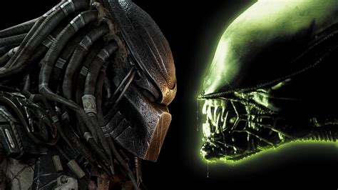 Image result for Alien vs Predator Anime