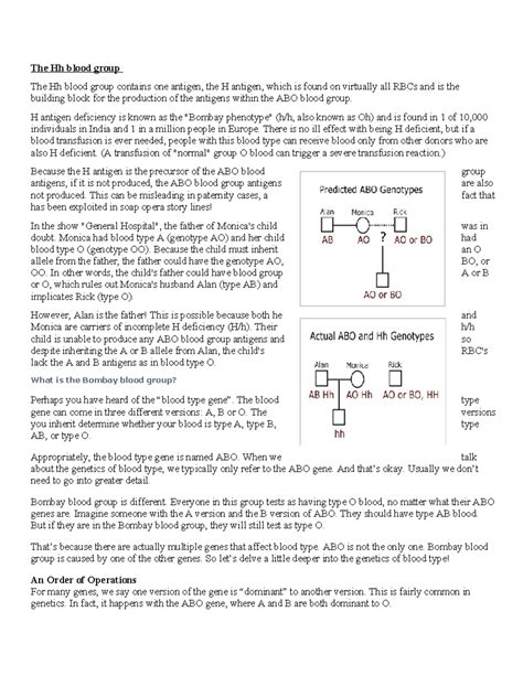 Bombay Epistasis short HOUT - The Hh blood group The Hh blood group ...