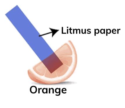 NCERT Solutions for Class 7 Science Chapter 2 Exploring Substances ...