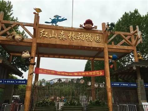 【携程攻略】南京红山森林动物园景点,红山动物园是南京最大的动物园了.里面有很多的珍贵的动物，动物园占…