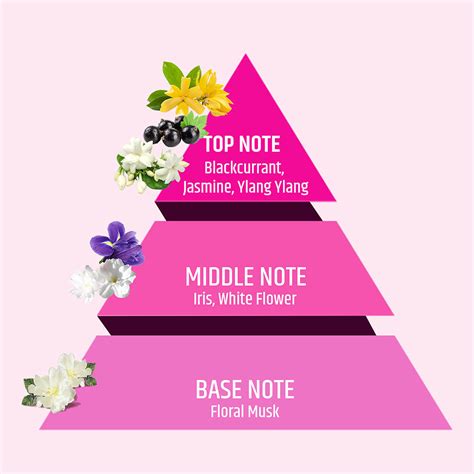 PANAMA ROSE | Floral With a Hint Of Roses Perfume For Her - 100ml ...