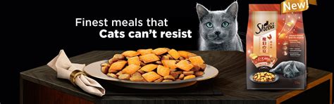 Dry Food | Sheba IN