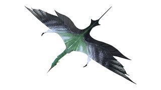 Dorado Verde | Avatar.com