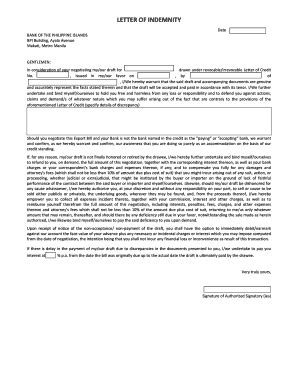 Indemnity Agreement Bank - Fill Online, Printable, Fillable, Blank ...