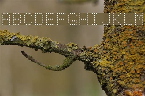 Image result for Dot-Matrix Normal Font