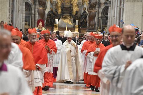 With installation of more cardinals, Pope Francis sets future direction ...