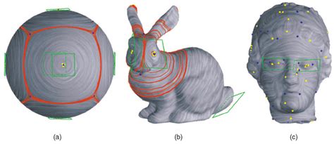 Tensor Field Applications 的图像结果
