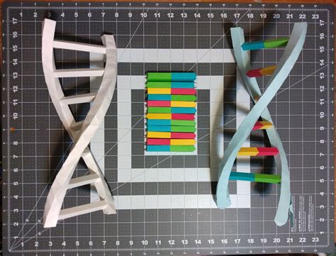 Image result for DNA Model Making