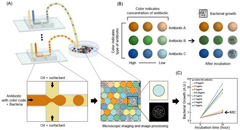 Color-Coded Droplets and Microscopic Image Analysis for Multiplexed ...