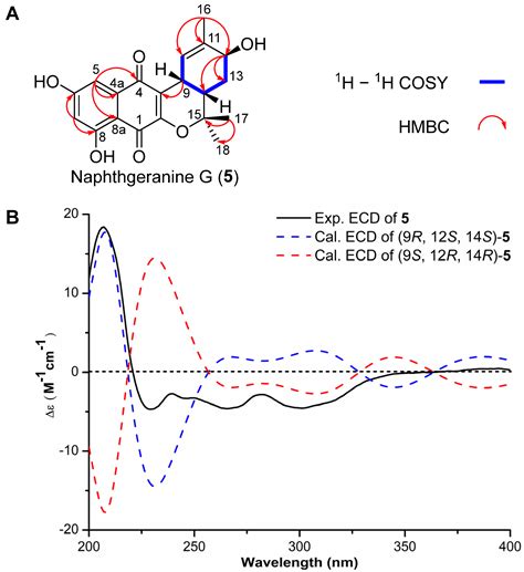 Bioactive Naphthoquinone and Phenazine Analogs from the Endophytic ...