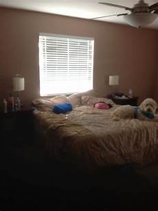 Rearranging A Small Bedroom by Rearrange Master Bedroom Ideas Decorator Options Rearranging A Small Bedroom