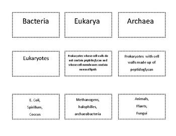 Image result for Domain Sort in JavaScript